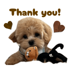 yuzuki_20250929022812