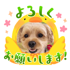 mocochan_20250929215001