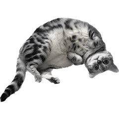 雪泥是一灘爛泥