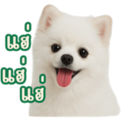 Fluffy Mille stickers