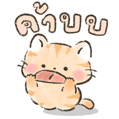 ซัมซัม แก๊งแมวซน (น่ารักมาก) 7