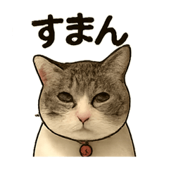 murachan_20250929222818