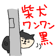 Cute black shibainu!