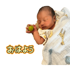 karin_20250929230549