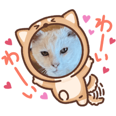 Tomomi_20250929225728