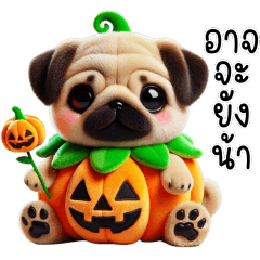 น้องหมาปั๊ก ชุดฟักทองผี