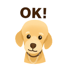 KAORI_20250930081608