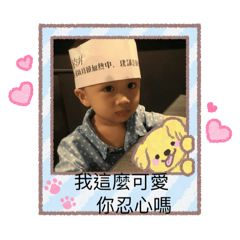 小蘑菇_超口愛