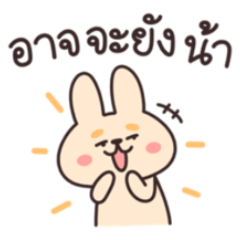 4Eyes Rabbit v.1