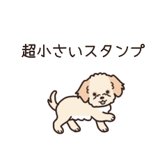やさしいマルプー『超ミニサイズ！』