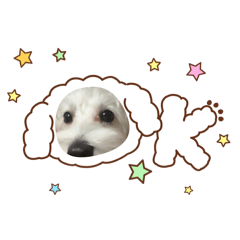 karakamamiku_20250930055055