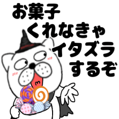 【秋】ぶさいく犬58