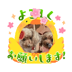 HANA_20250930130647