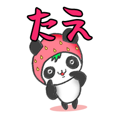 The Tae panda in strawberry.