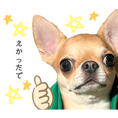 ururun_20250929211620