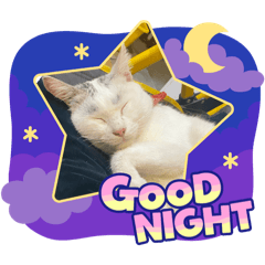 Apple_20250929203546