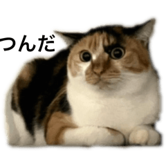 natsumi_20250929233144