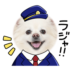 tsubaki_20250929233623