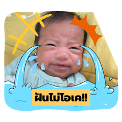 PAHFUN2025