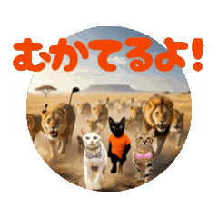 お酒とネコ好きな日常会話65