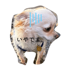 sachi_20250930105156