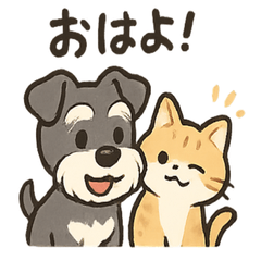 Mini Schnauzer & Tabby Chats