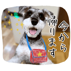 Sunta Daily Life Stickers