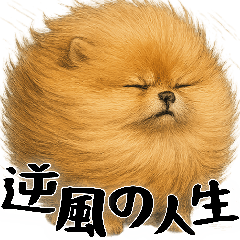 風に立ち向かうポメ(毎日使える便利な返信)