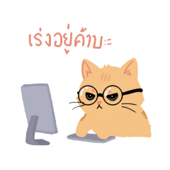 แมวส้มน้อยทำงาน