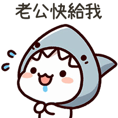 小鯊貓老公快給我