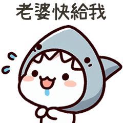 小鯊貓老婆快給我