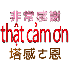 Taiwanese Vietnamese pronunciatio3