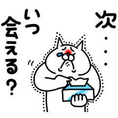 Zenryoku Neko love you!