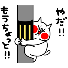 全力ねこ寂しがり屋さん編