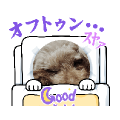 HANA_20250929132537