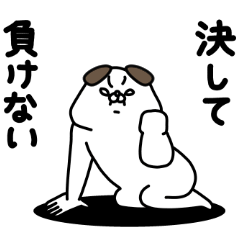 全力いぬ決して負けない編