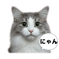 riko yamada_20250930022454