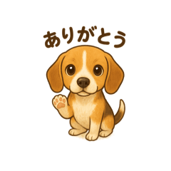 kinako_20250930100638