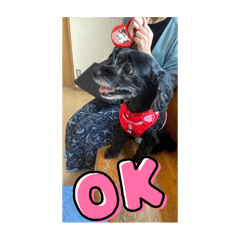 AKANE_20250930104301