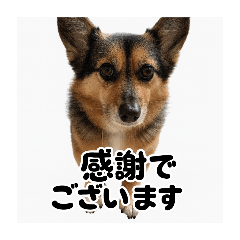 itokin_20250930113146