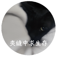 Fish eating Grass_20241027211033 – LINE stickers | LINE STORE