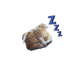 marina_20250930115817