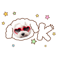 karakamamiku_20250930120939