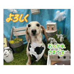 Sachi_20250930140754