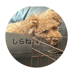 takumi_20250930190447