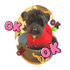 Daichi_20250930185841