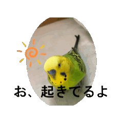 marumo_20250930220704