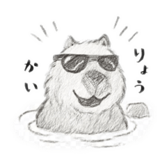 Capybara in the hot spring