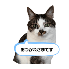 yumi_20250930220435
