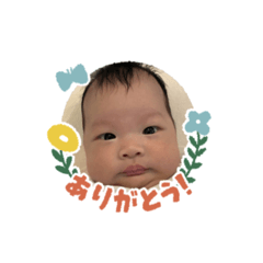 shio_20250930154449